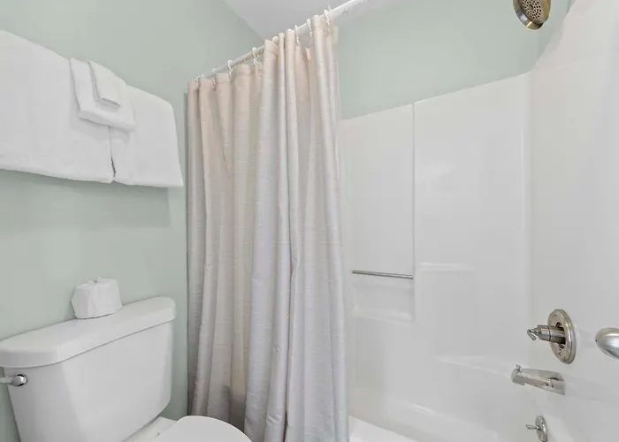 Apartment Sugar 364 By Collection *