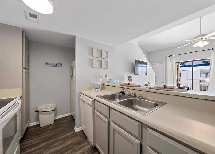 Apartment Sugar 364 By Collection