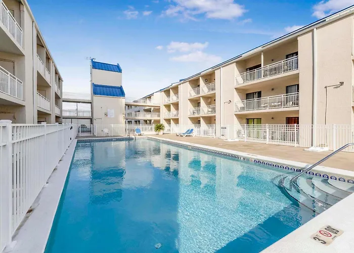Apartment Sugar 364 By Collection